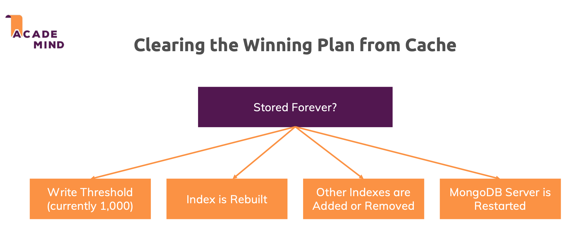 Winning Plans 2